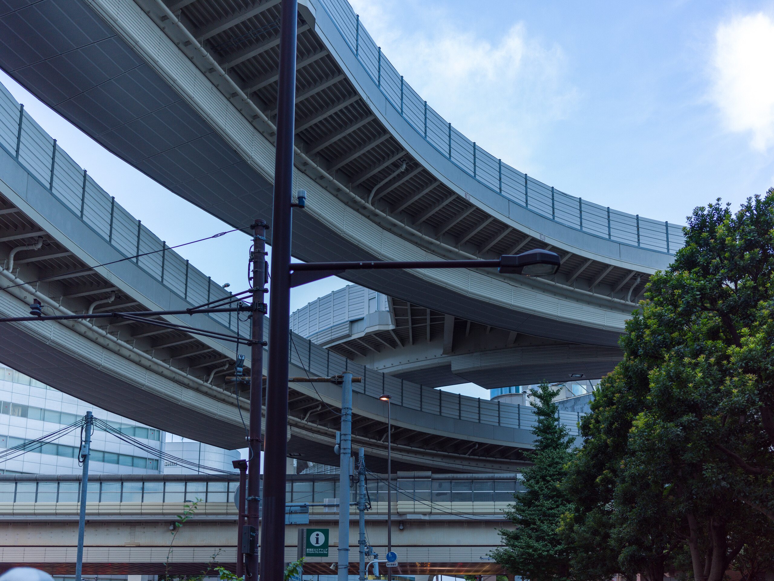 公開写真
