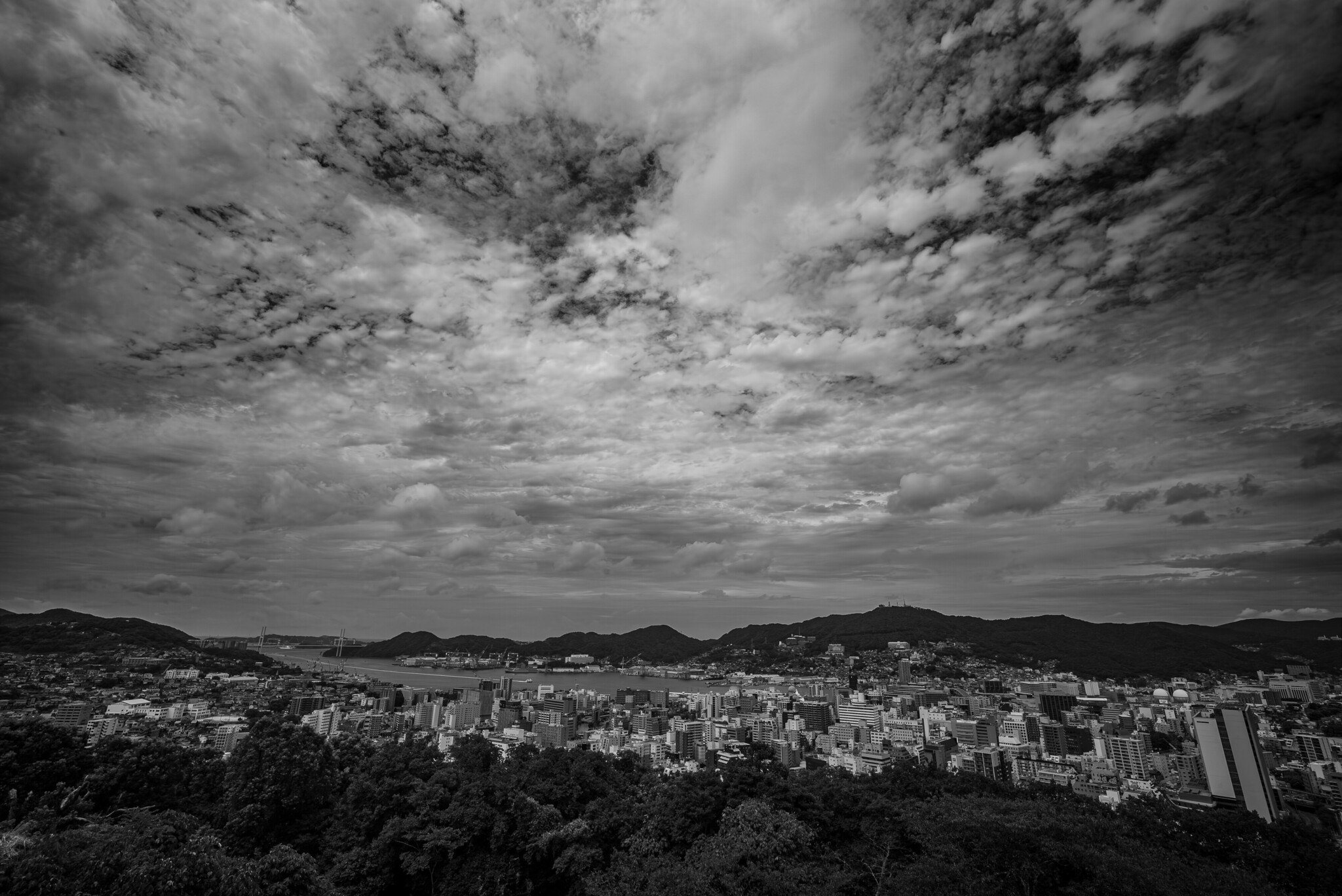 みねさんの写真｜スナップ【総合】